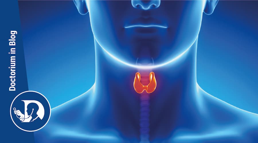 Patologie della tiroide ed osteoporosi