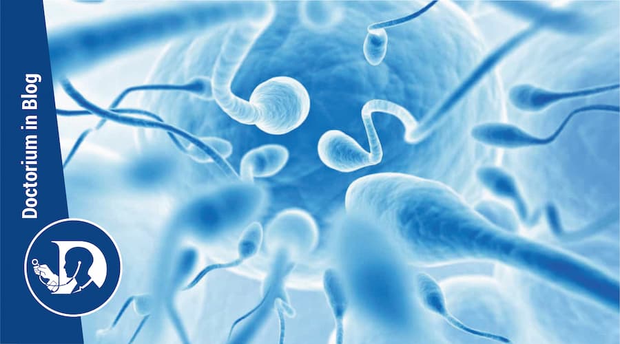 Spermiogramma e infertilità maschile