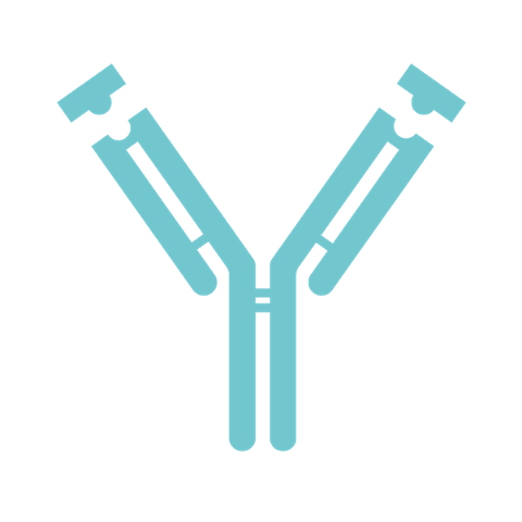 immunologia-icon