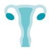 Ginecologia e Ostetricia