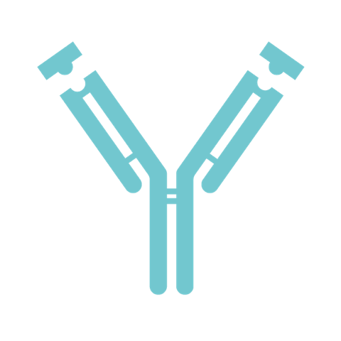 Immunologia